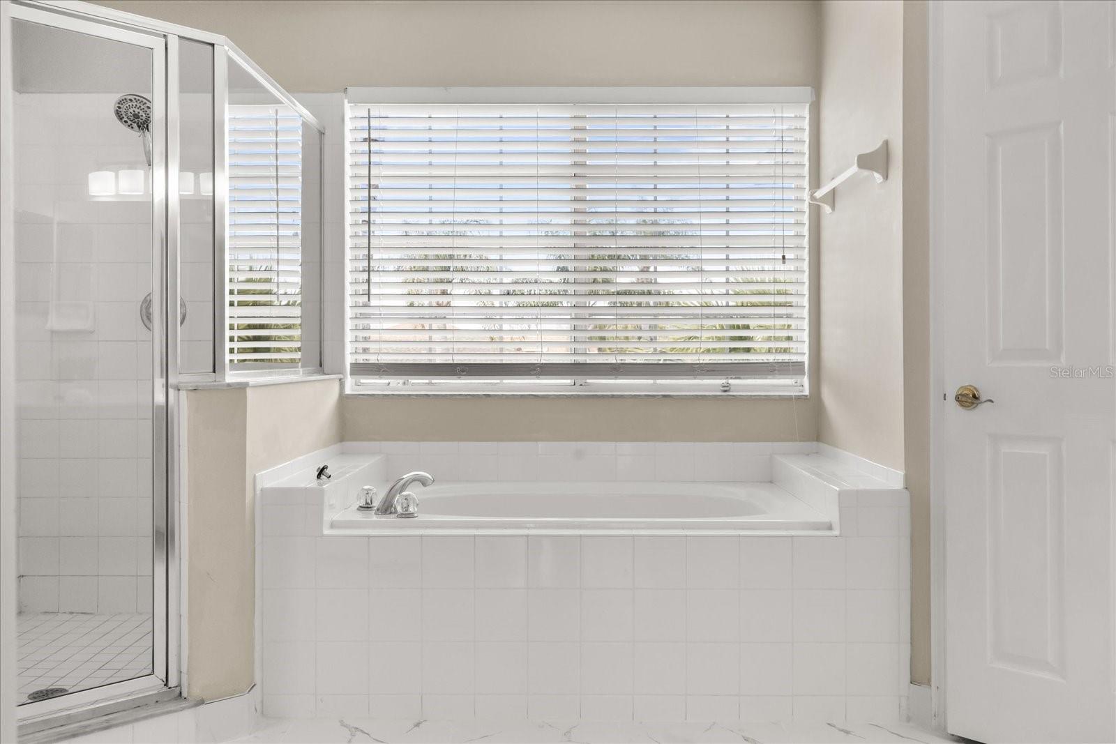 2205 WINTERMERE POINTE Dr WINTER GARDEN, FL 34787