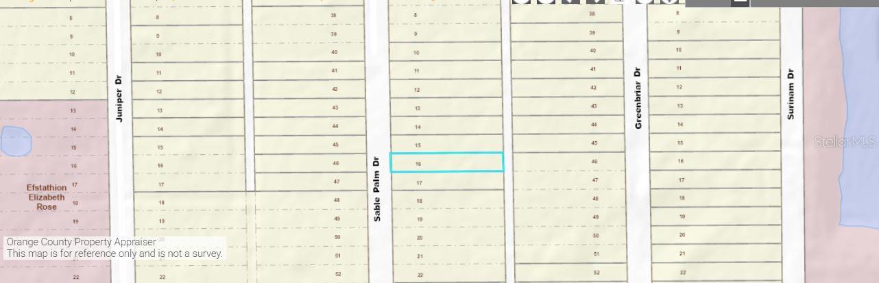 1033 SABLE PALM Dr CHRISTMAS, FL 32709