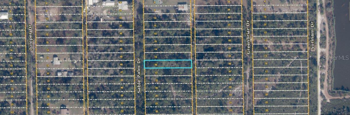 1033 SABLE PALM Dr CHRISTMAS, FL 32709