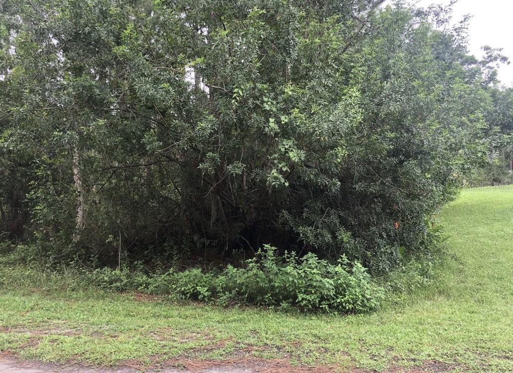 24 AMARYLLIS Dr INDIAN LAKE ESTATES, FL 33855