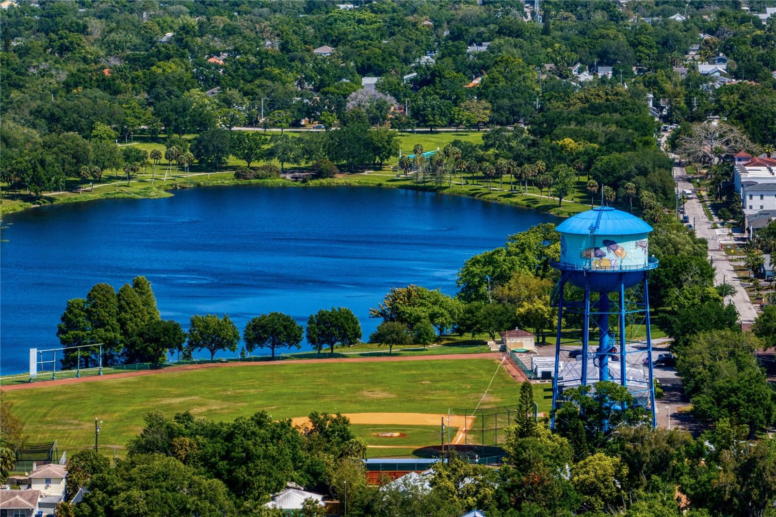 802 DARTMOOR St ST PETERSBURG, FL 33701