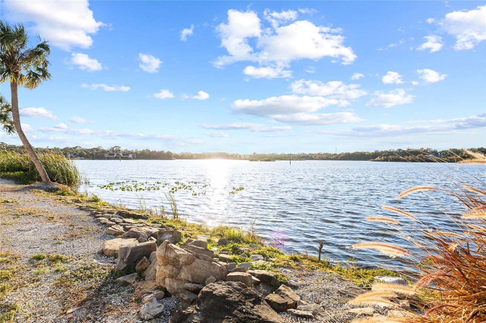 951 S BAYSHORE Blvd SAFETY HARBOR, FL 34695