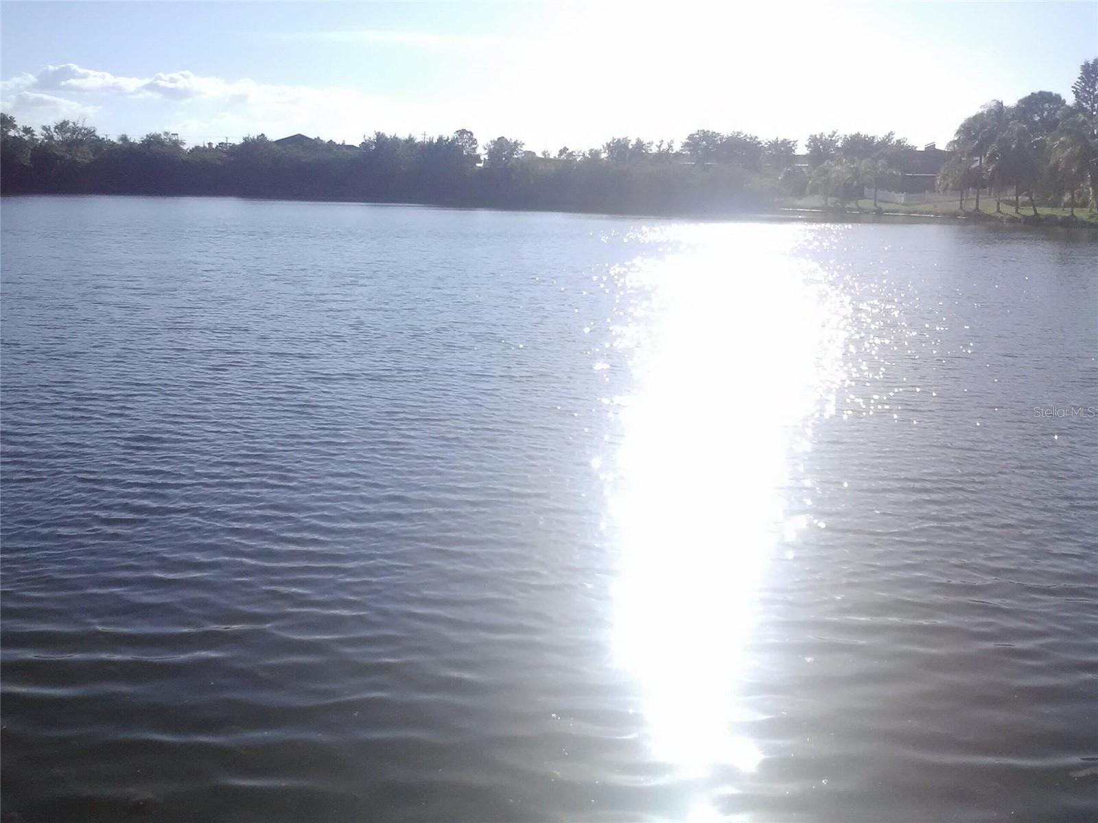 2011 N 61ST St TAMPA, FL 33619