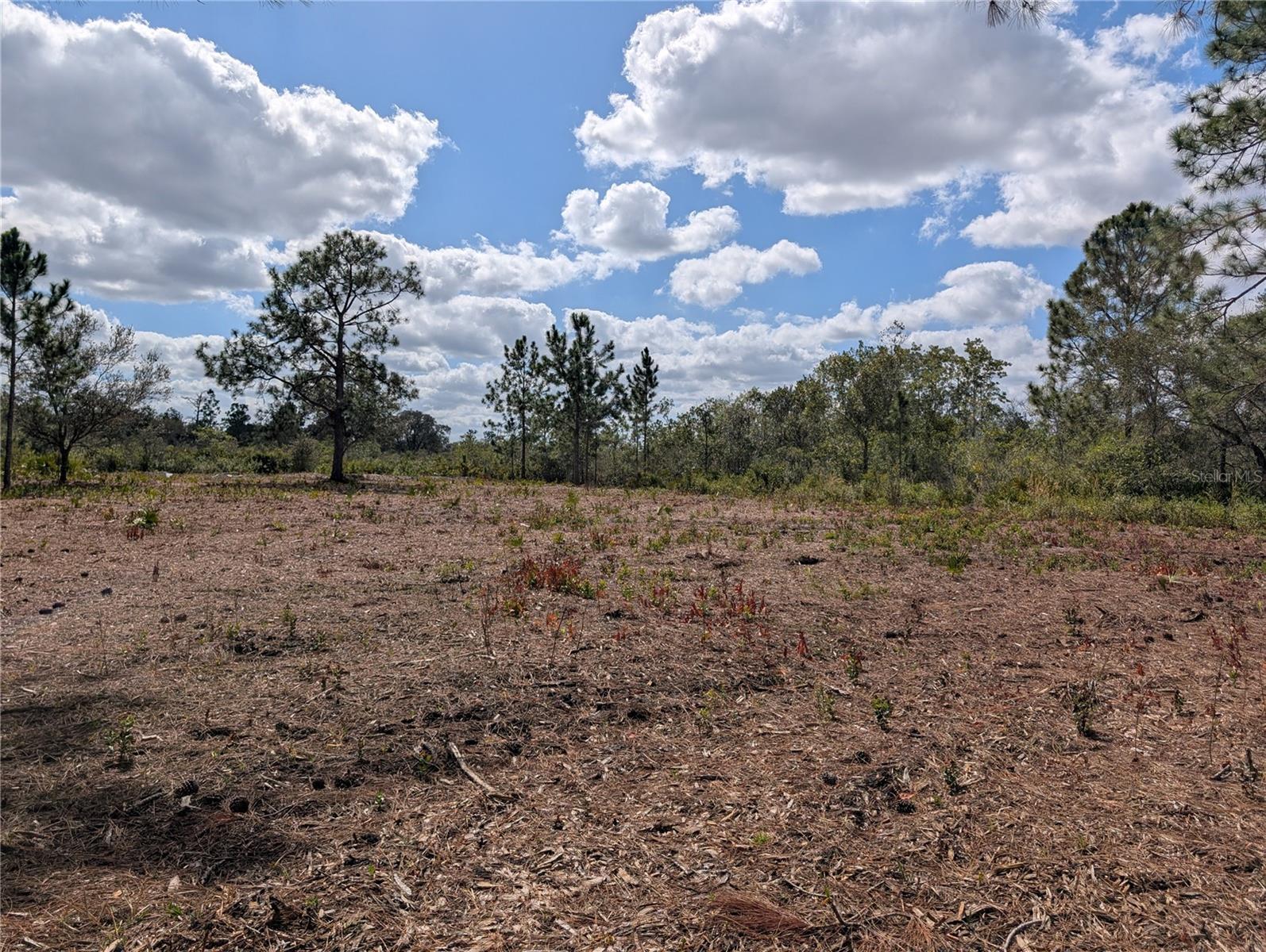 5 Park Ave INDIAN LAKE ESTATES, FL 33855