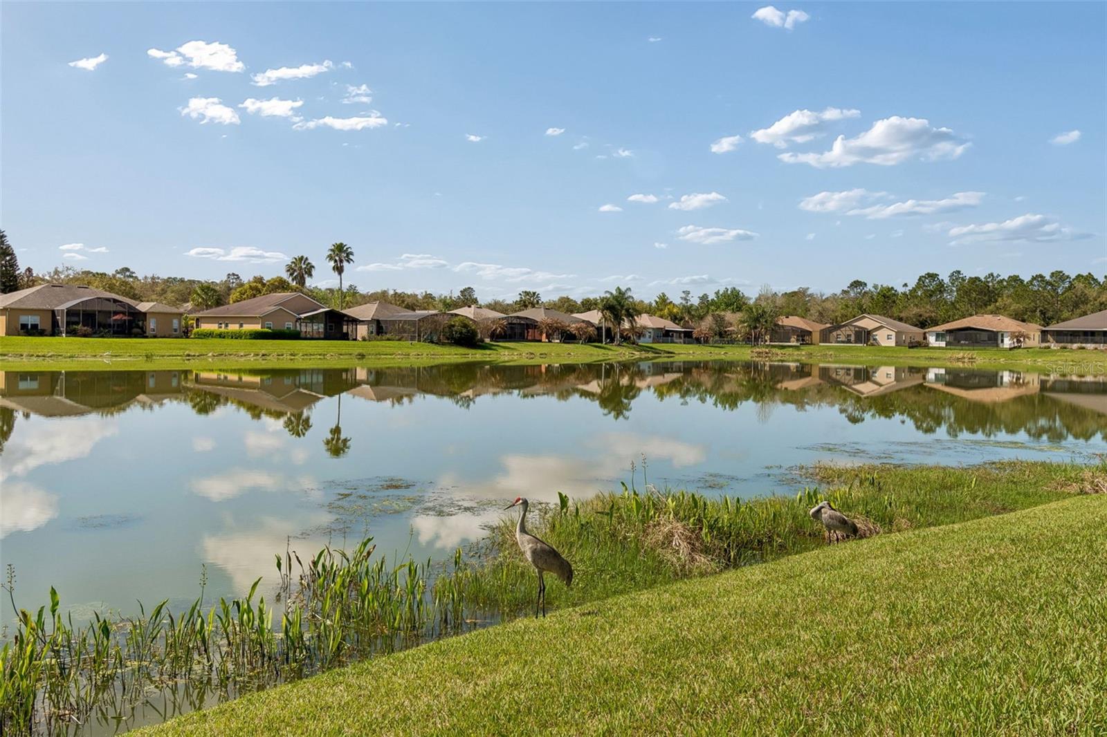 813 GLENDORA Rd KISSIMMEE, FL 34759