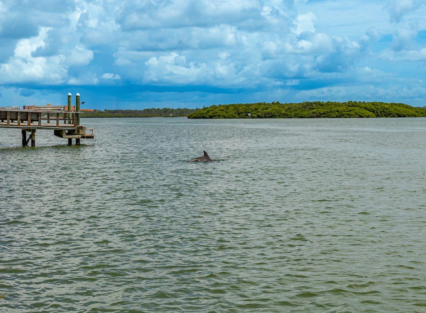 445 129TH Ave MADEIRA BEACH, FL 33708