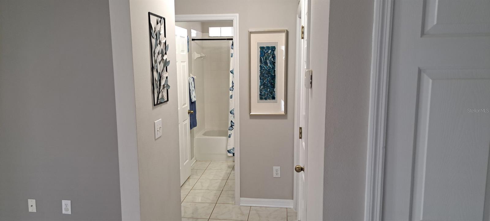 6043 POINTE PLEASANT Blvd WESLEY CHAPEL, FL 33545