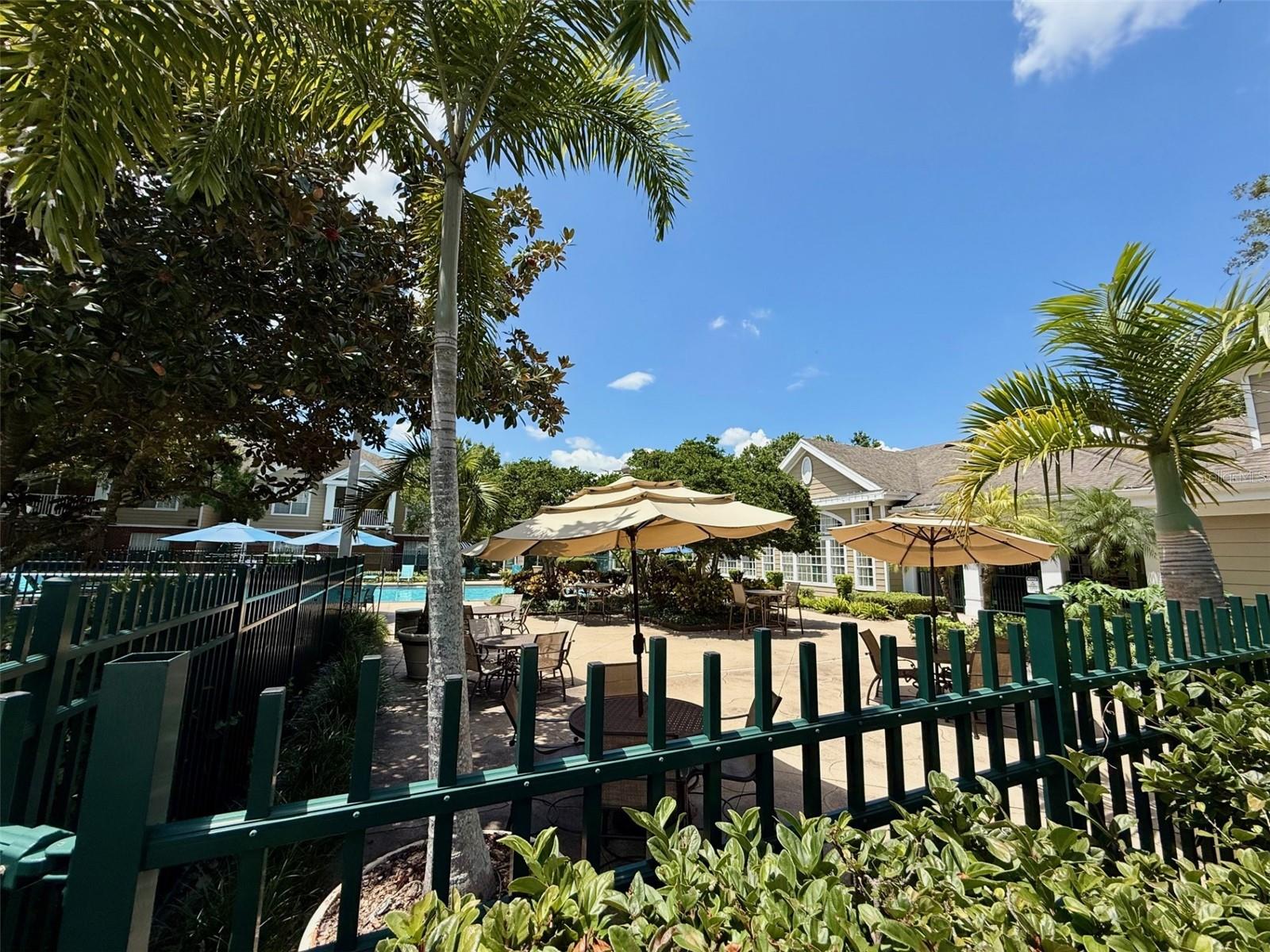 13102 MULBERRY Park Dr #917 ORLANDO, FL 32821