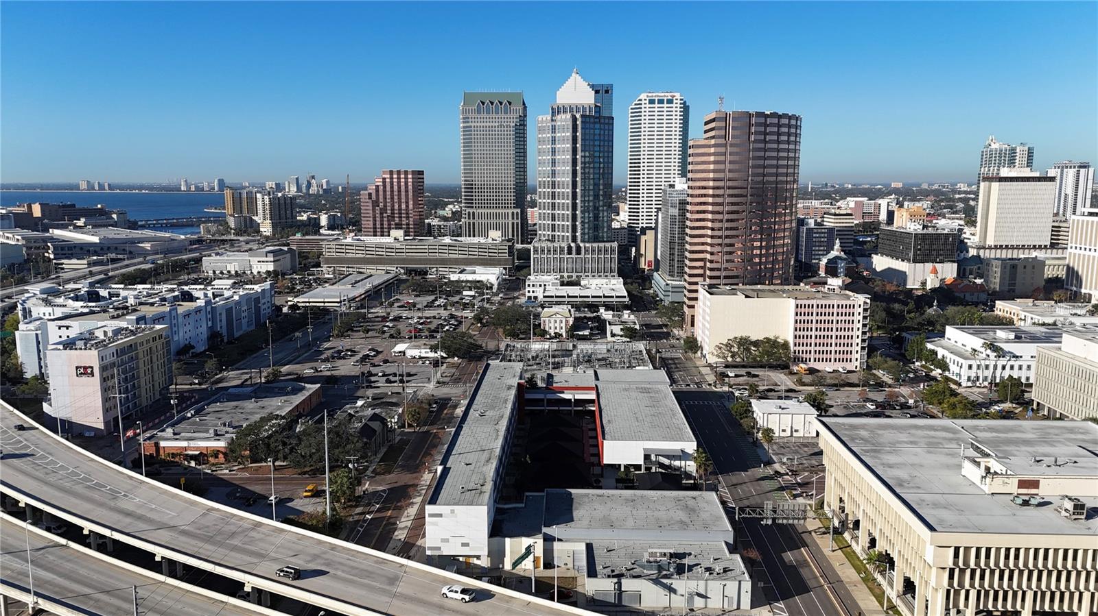 1101 E JACKSON St #3019 TAMPA, FL 33602