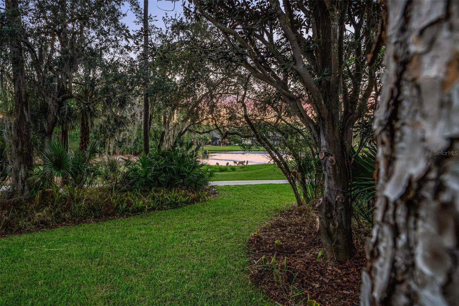 3352 Park Grv Ct LONGWOOD, FL 32779