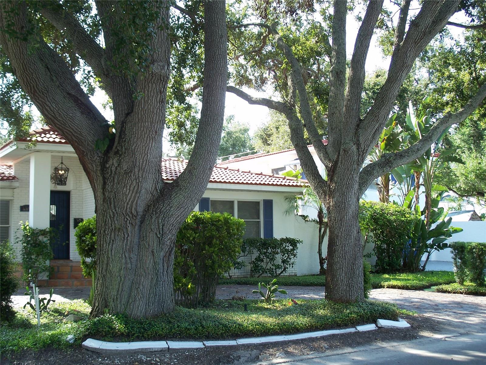 2200 2ND St ST PETERSBURG, FL 33704