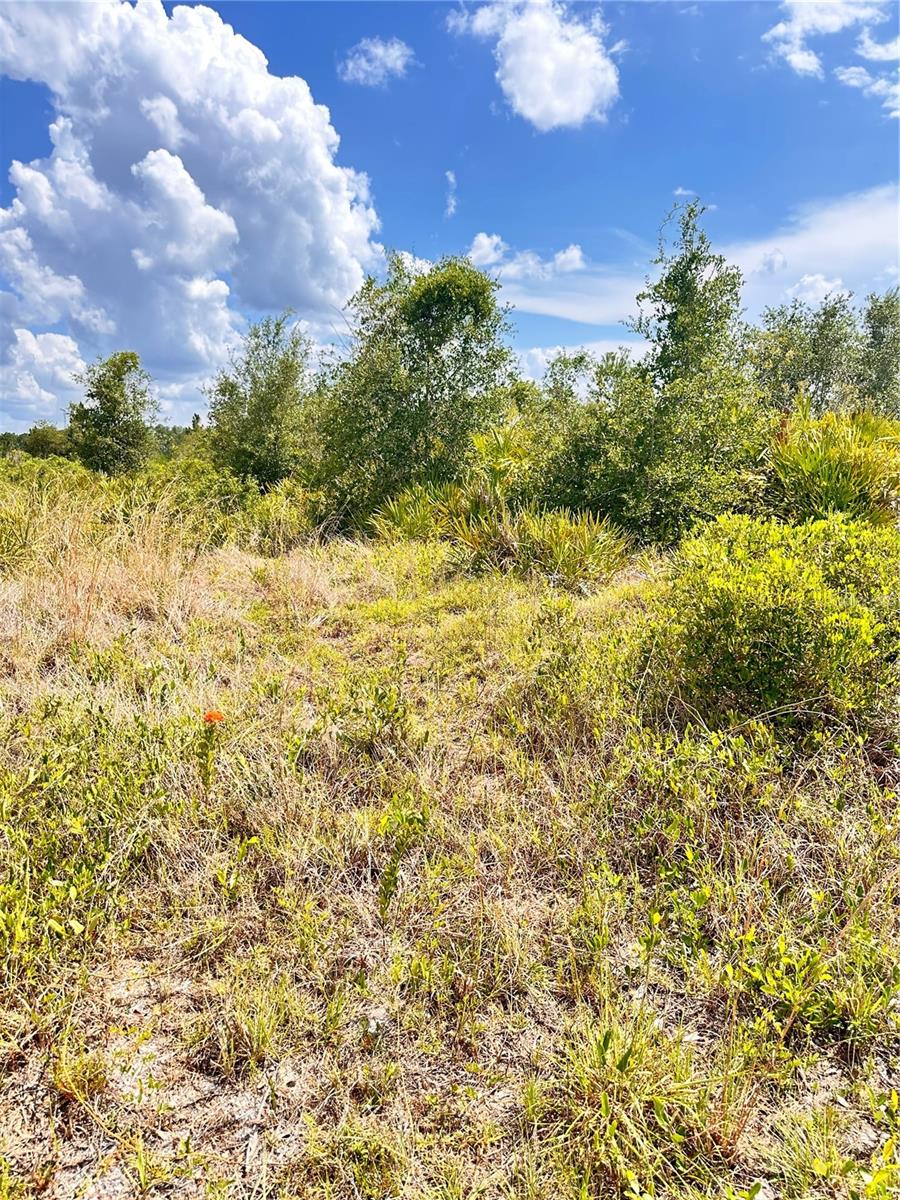 DELAND Ave INDIAN LAKE ESTATES, FL 33855