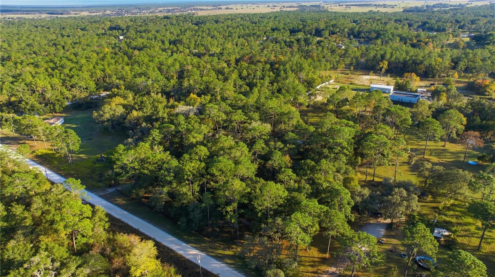 16180 SW 36TH St OCALA, FL 34481