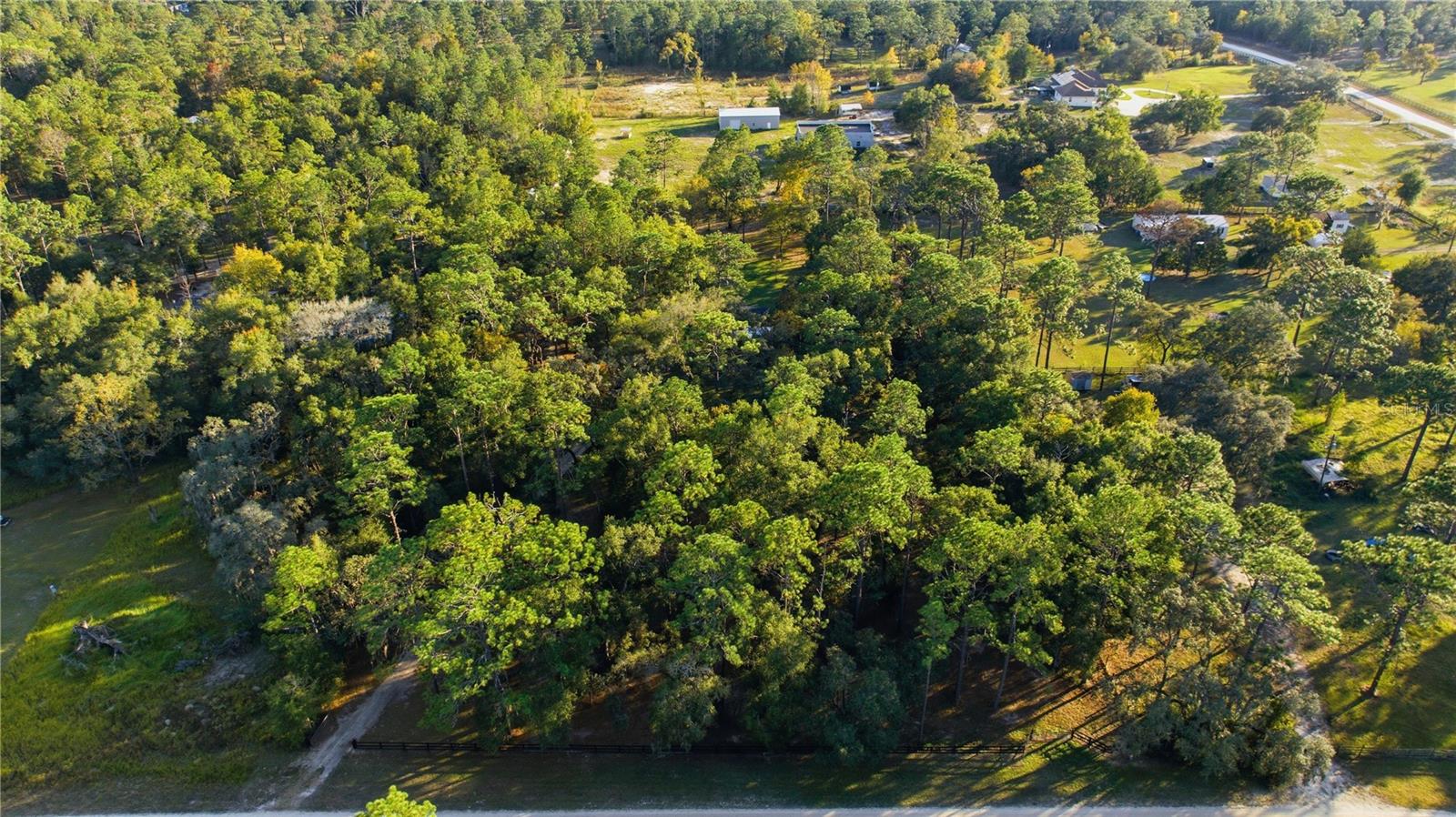 16180 SW 36TH St OCALA, FL 34481