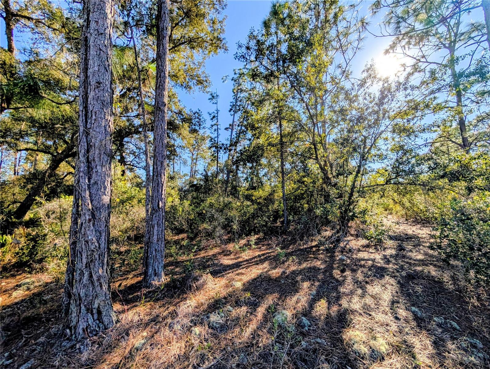 609 INDIAN Lk Dr INDIAN LAKE ESTATES, FL 33855