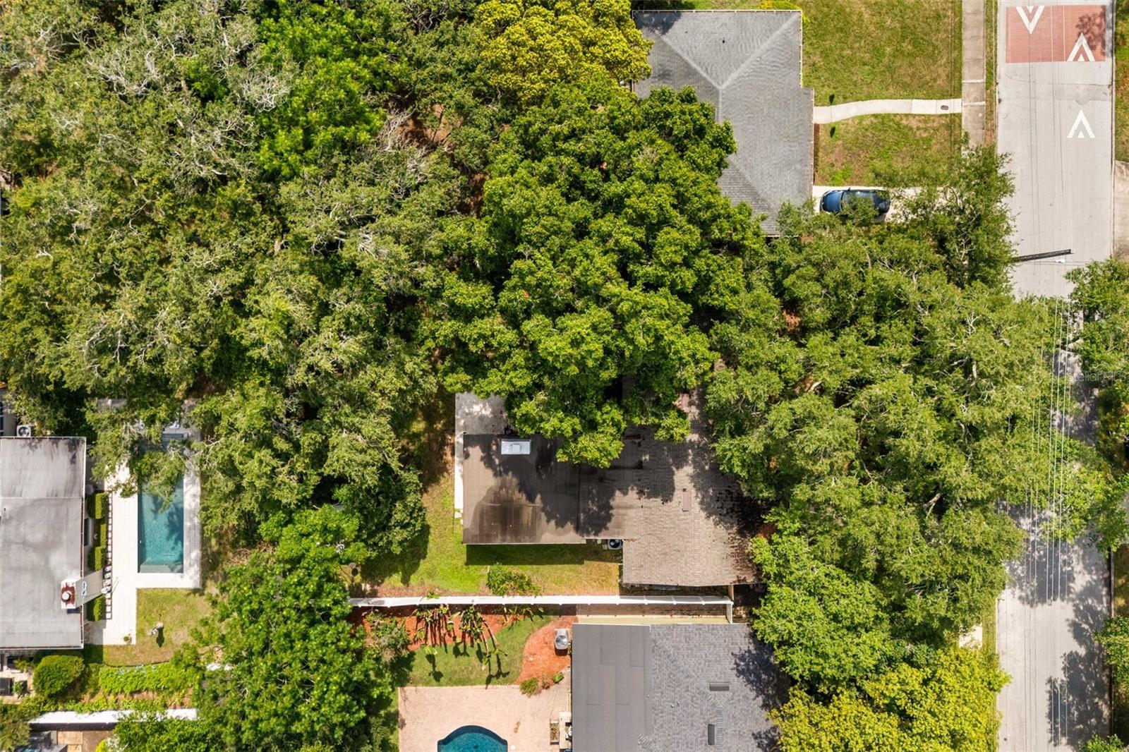 2909 HARGILL Dr ORLANDO, FL 32806