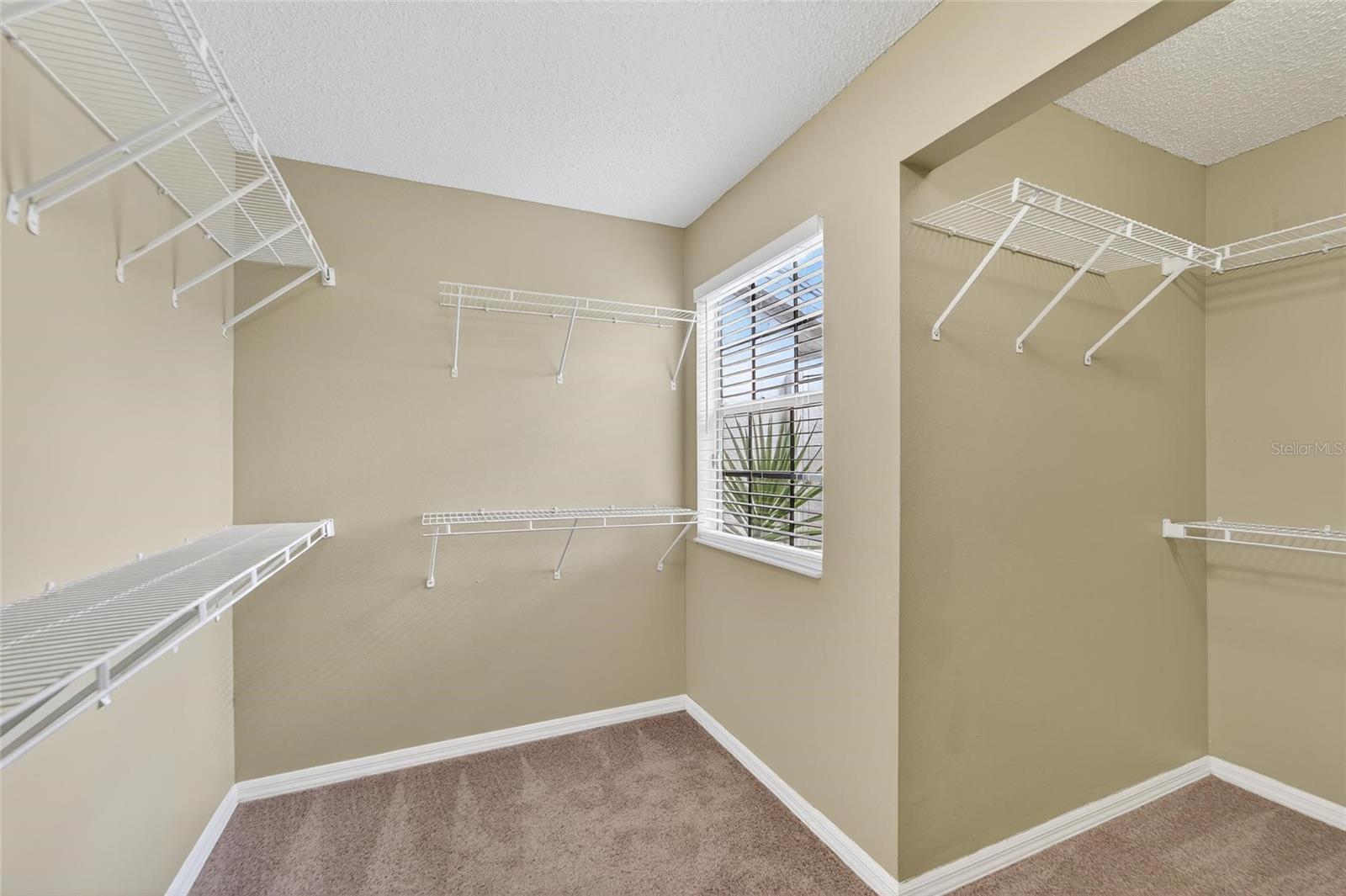 4209 BRENTWOOD Park Cir TAMPA, FL 33624 4209 BRENTWOOD Park Cir TAMPA, FL 33624