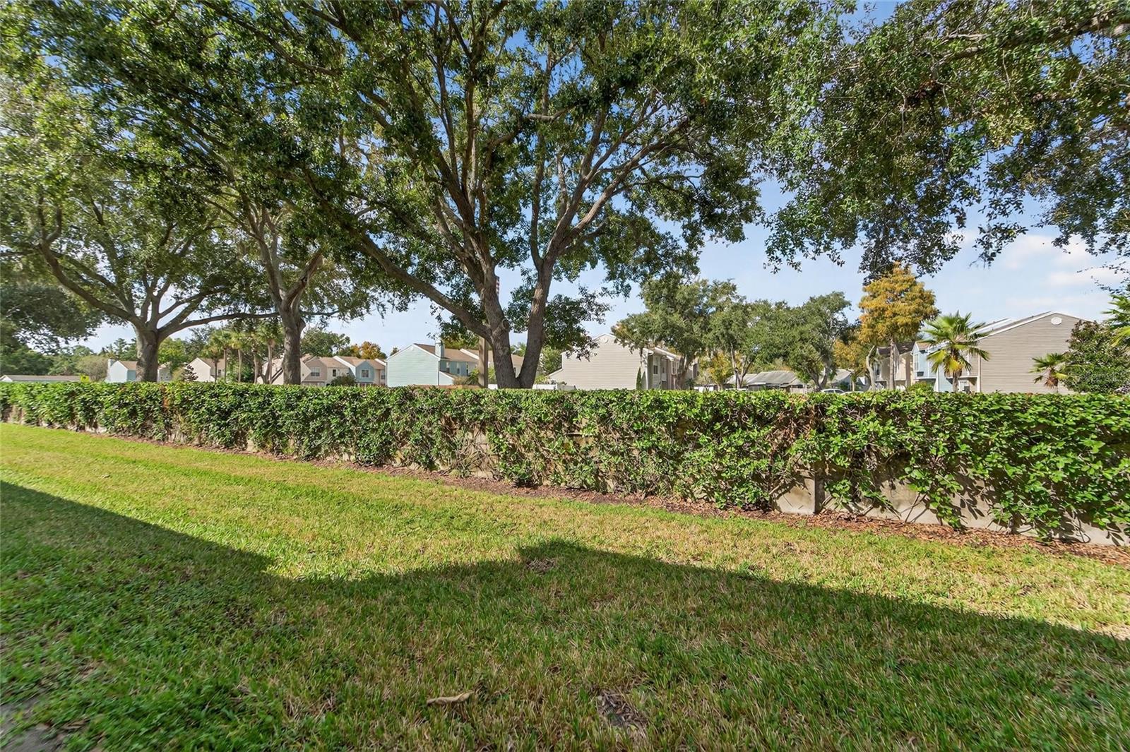 4209 BRENTWOOD Park Cir TAMPA, FL 33624 4209 BRENTWOOD Park Cir TAMPA, FL 33624