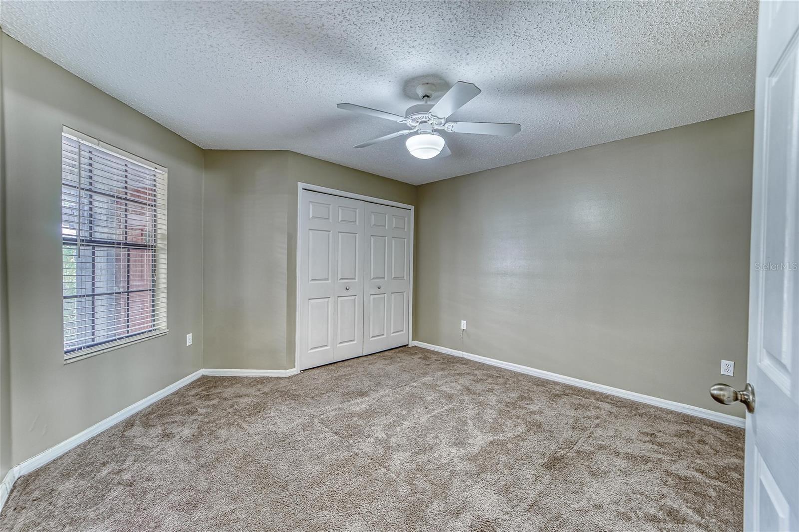 4209 BRENTWOOD Park Cir TAMPA, FL 33624 4209 BRENTWOOD Park Cir TAMPA, FL 33624