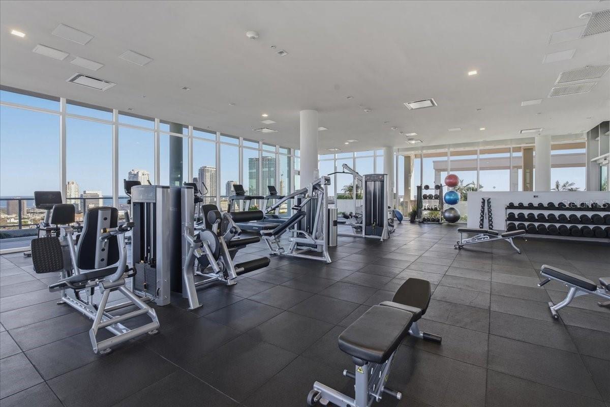 777 3RD Ave #1202 ST PETERSBURG, FL 33701