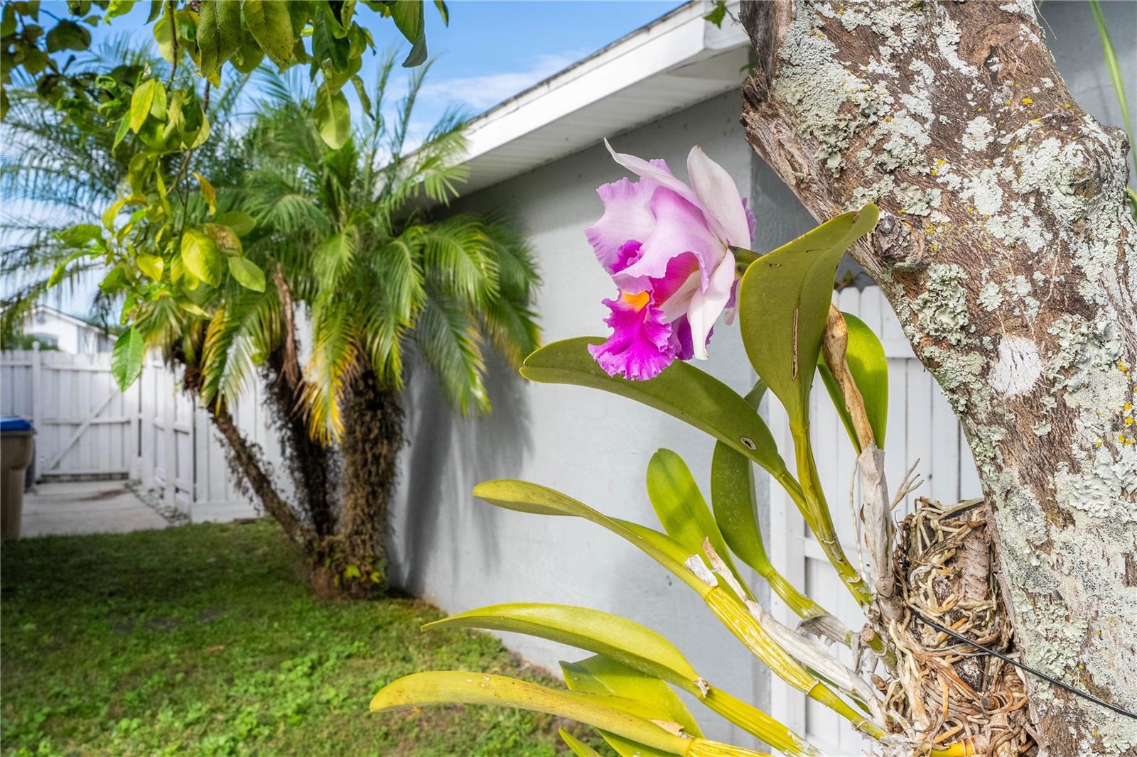 3219 BREWSTER Dr KISSIMMEE, FL 34743