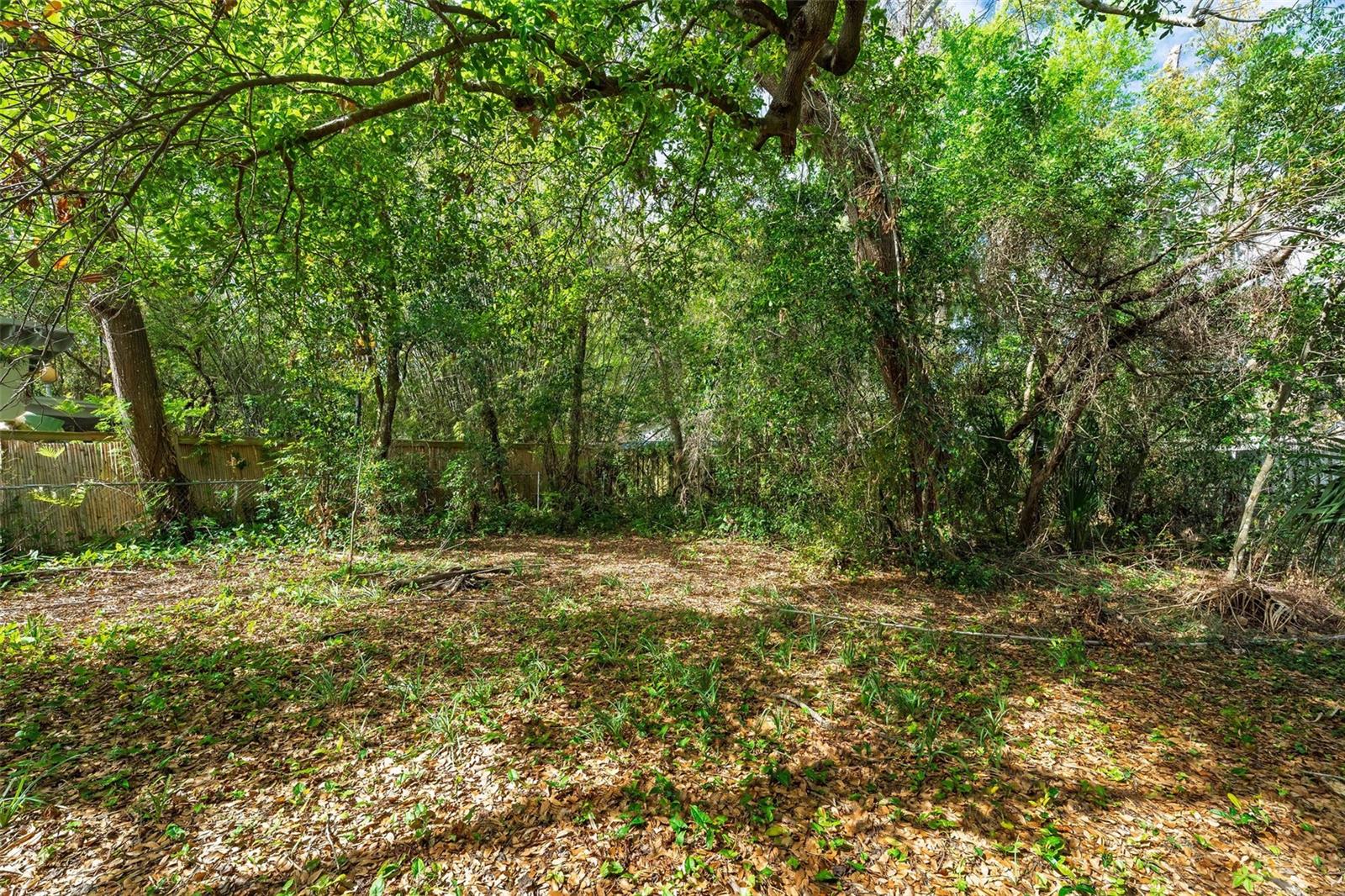 1614 Hvn Dr ORLANDO, FL 32803