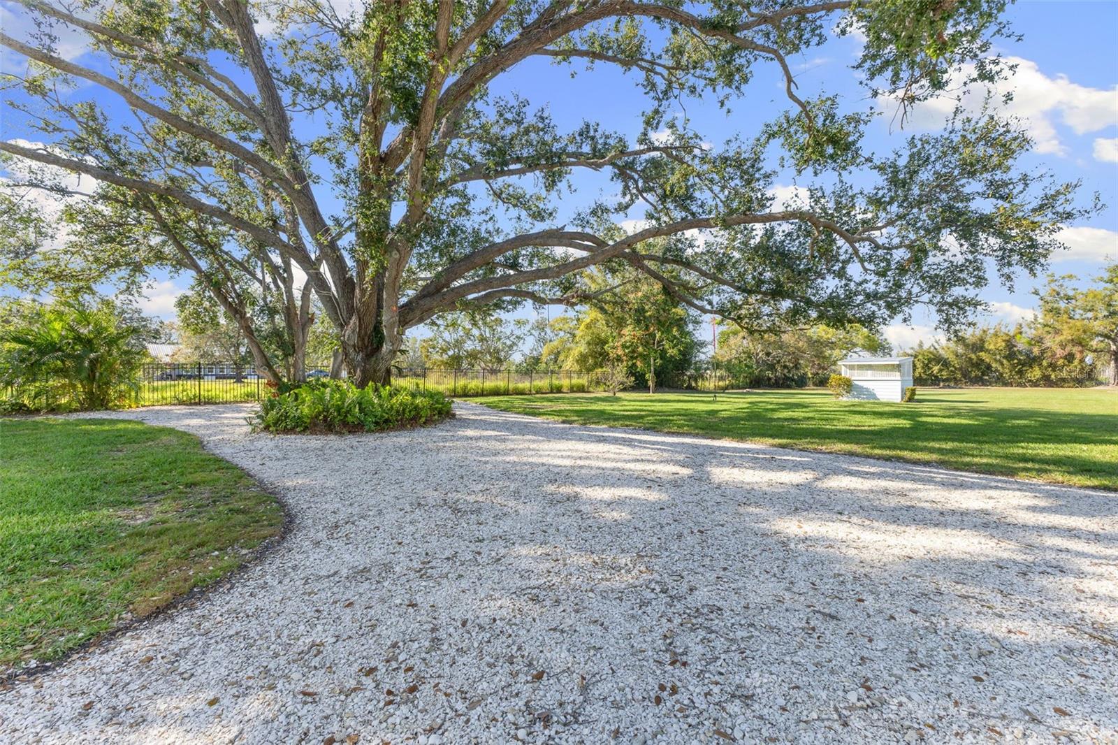 450 BAYSHORE Dr TERRA CEIA, FL 34250