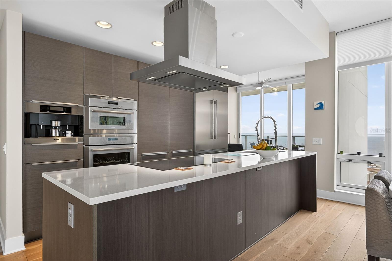 175 1ST St #3102 ST PETERSBURG, FL 33701