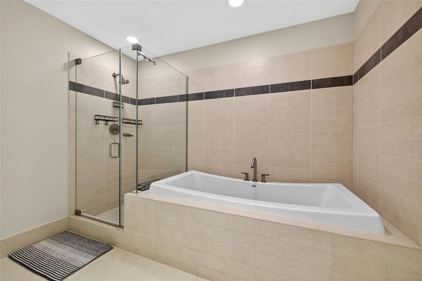 175 1ST St #3102 ST PETERSBURG, FL 33701