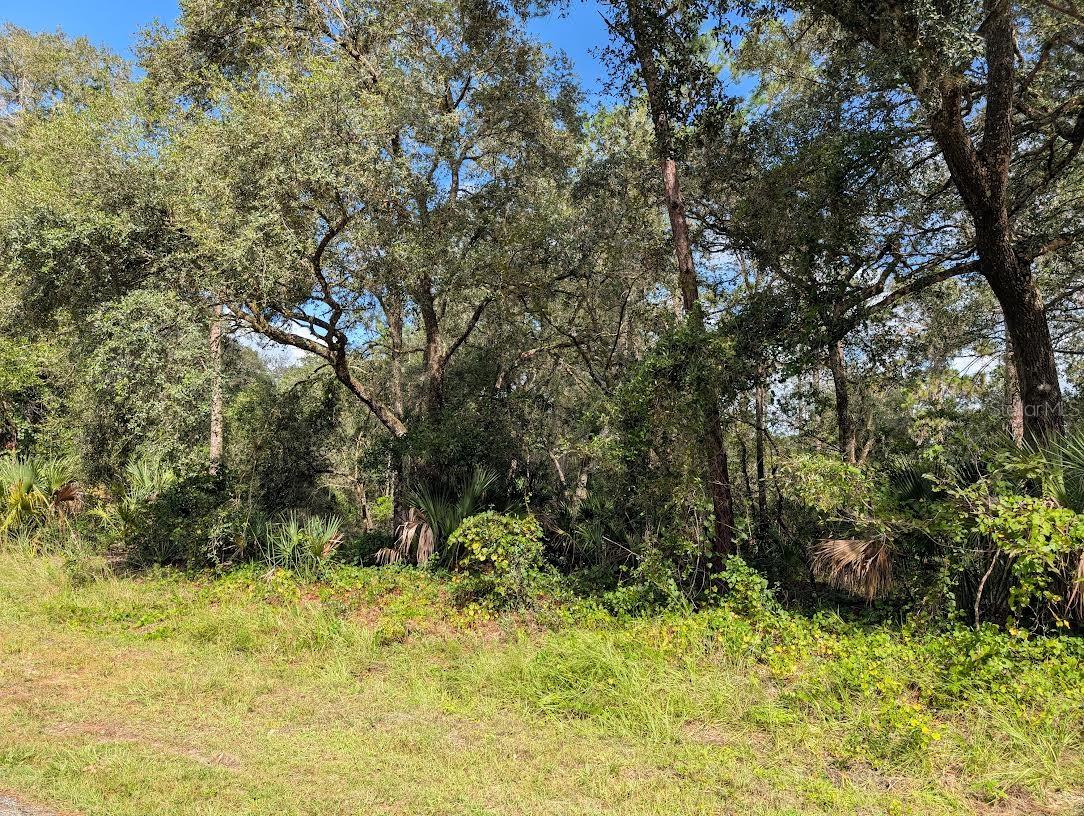 914 & 916 POINCIANA Dr INDIAN LAKE ESTATES, FL 33855