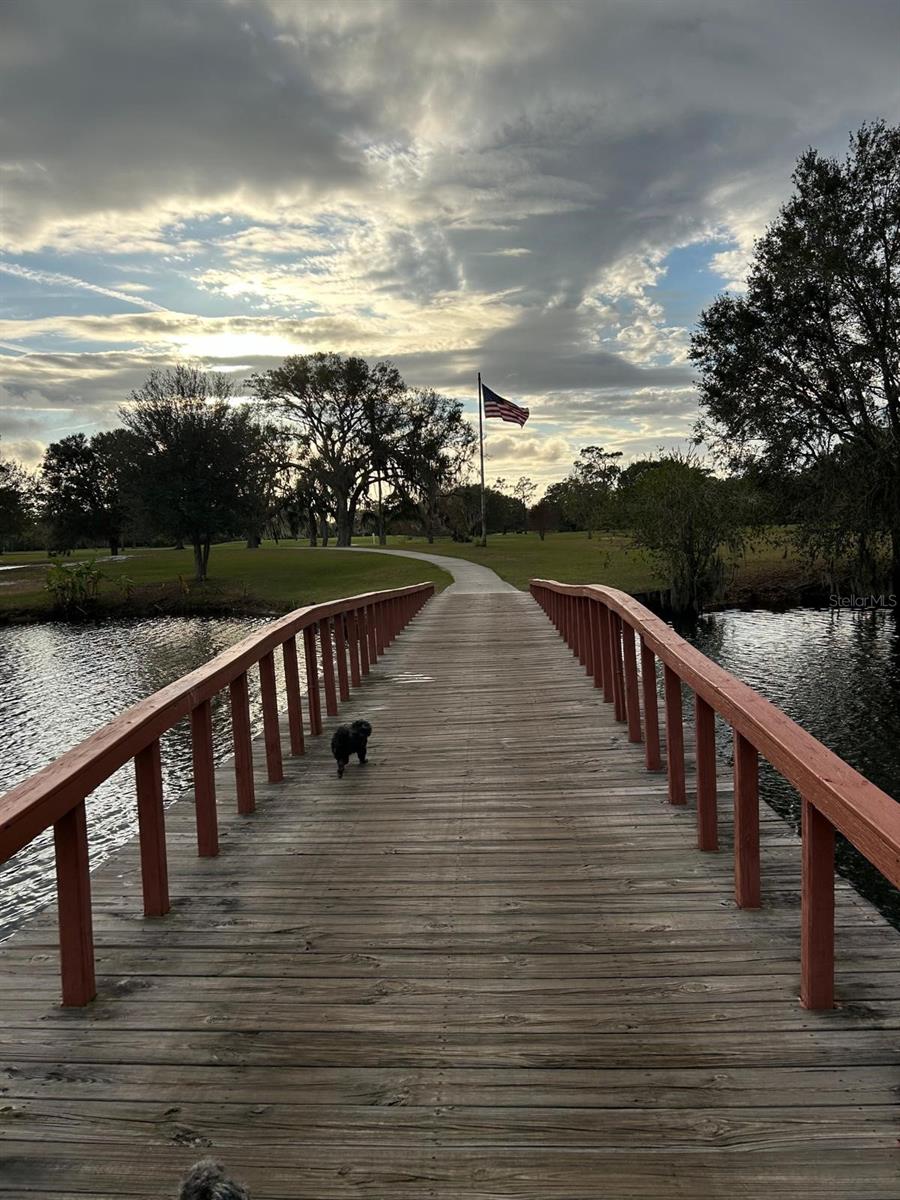 107 JAPONICA Ave INDIAN LAKE ESTATES, FL 33855