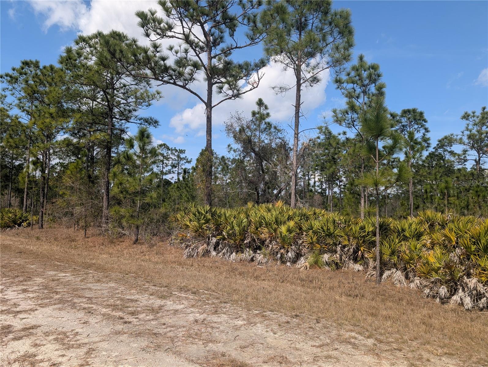 614 ALBA Dr INDIAN LAKE ESTATES, FL 33855