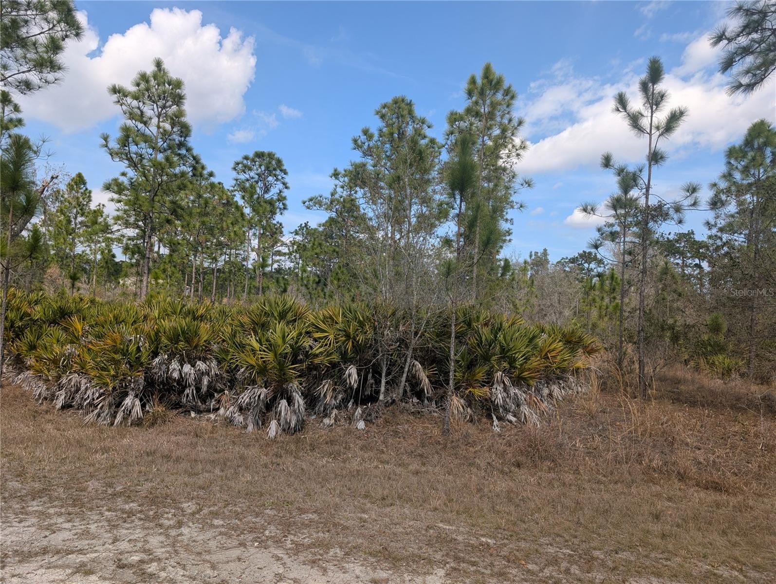 614 ALBA Dr INDIAN LAKE ESTATES, FL 33855