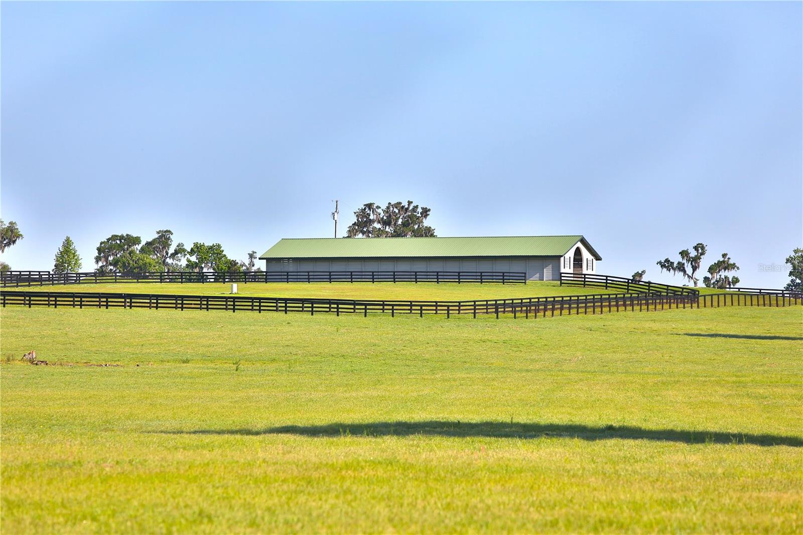 13375 W Hwy 318 WILLISTON, FL 32696