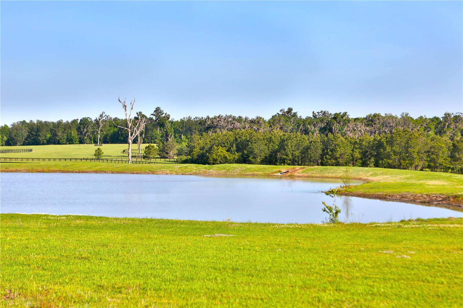 13375 W Hwy 318 WILLISTON, FL 32696