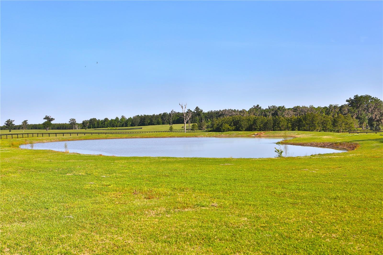 13375 W Hwy 318 WILLISTON, FL 32696