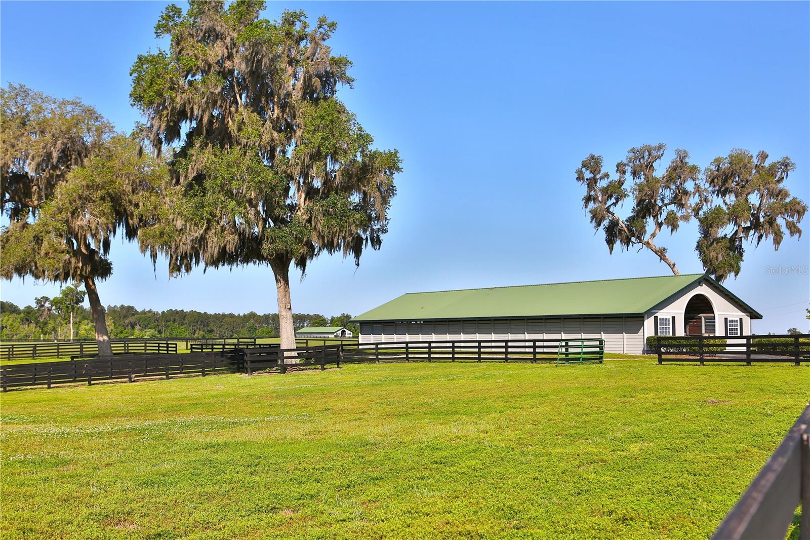 13375 W Hwy 318 WILLISTON, FL 32696