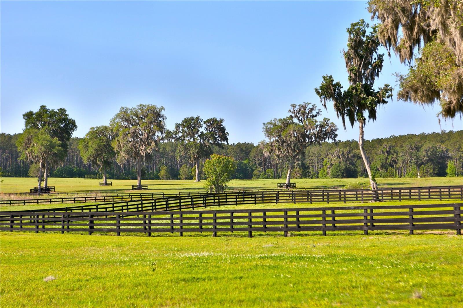 13375 W Hwy 318 WILLISTON, FL 32696