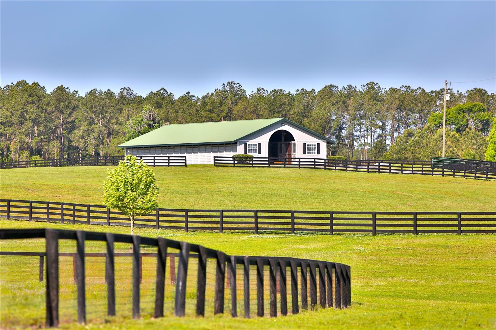 13375 W Hwy 318 WILLISTON, FL 32696