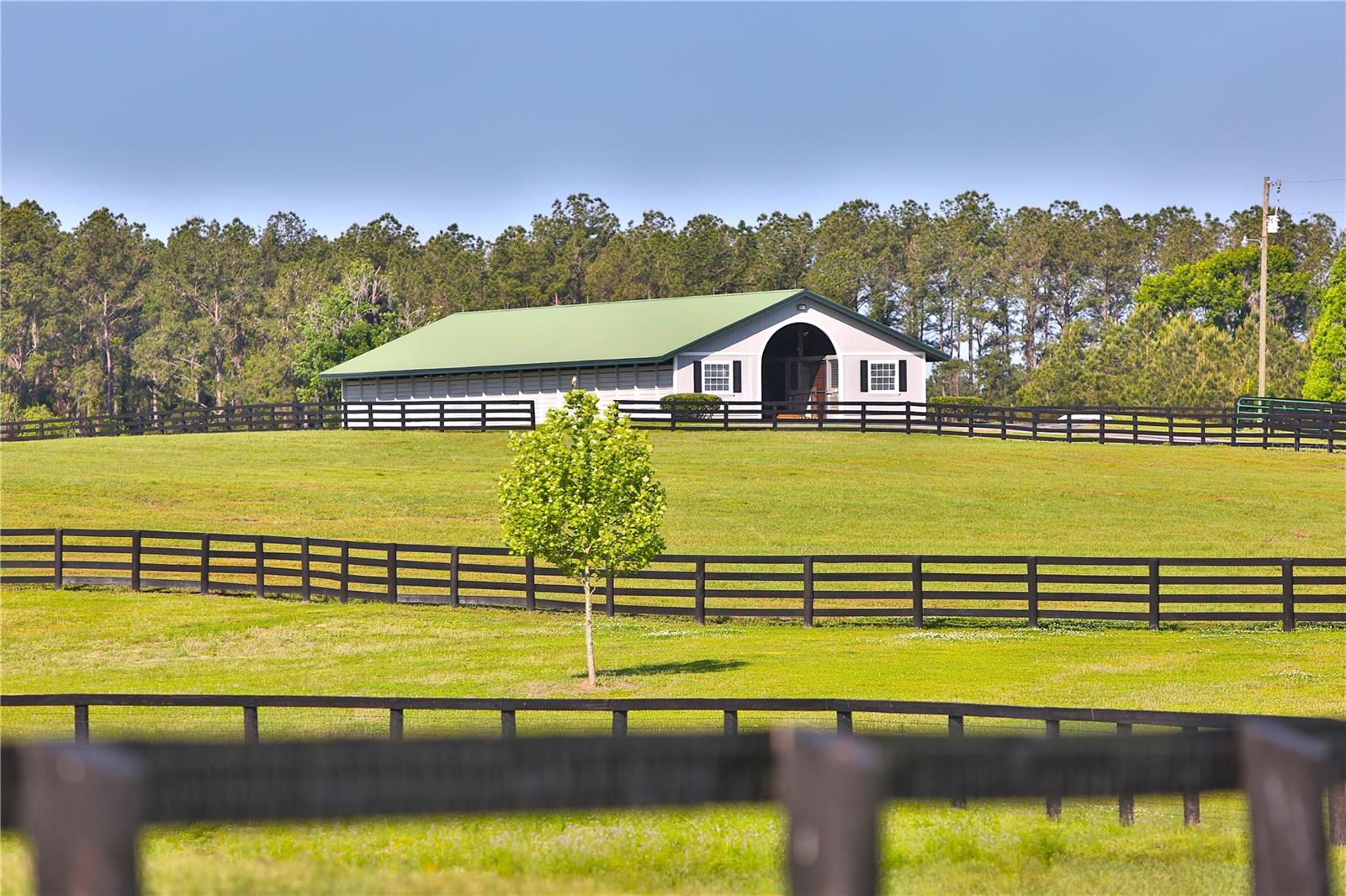 13375 W Hwy 318 WILLISTON, FL 32696