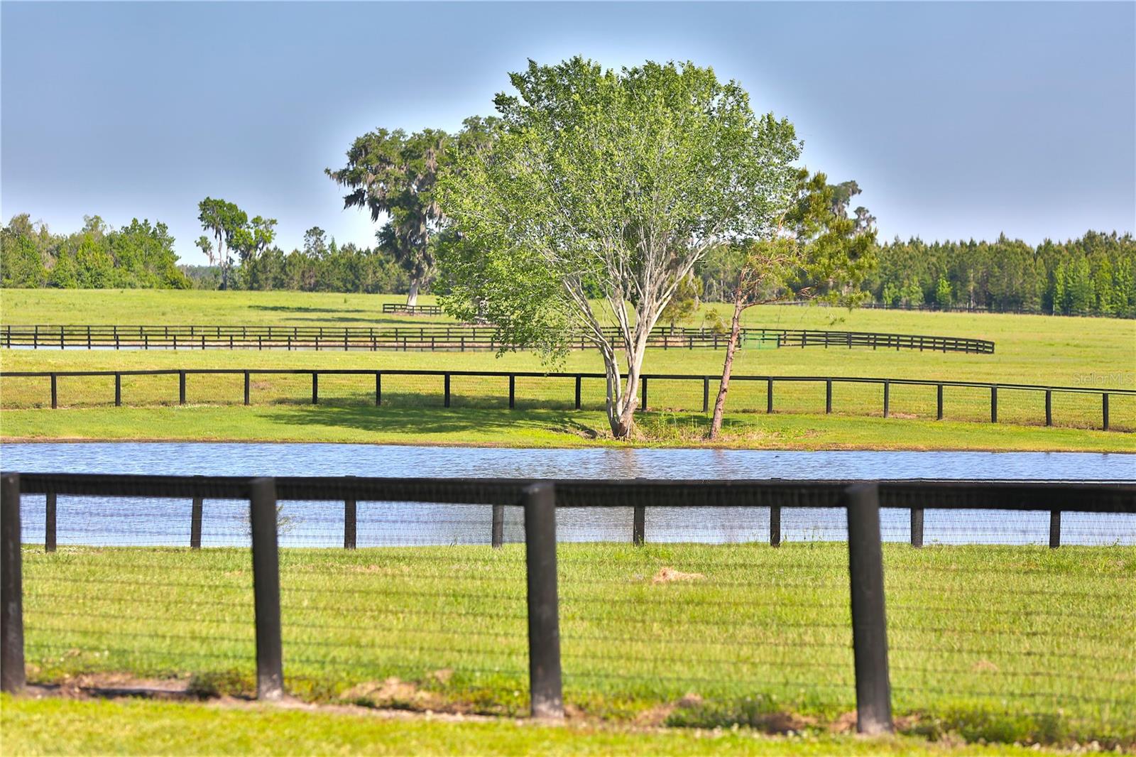 13375 W Hwy 318 WILLISTON, FL 32696