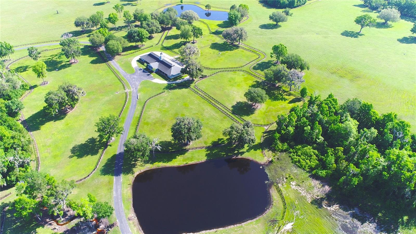 13375 W Hwy 318 WILLISTON, FL 32696