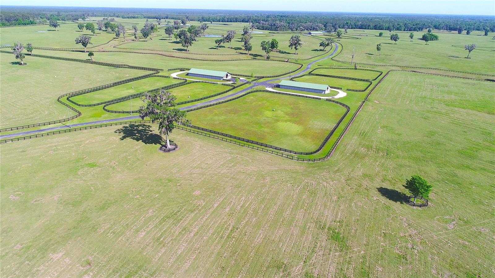 13375 W Hwy 318 WILLISTON, FL 32696