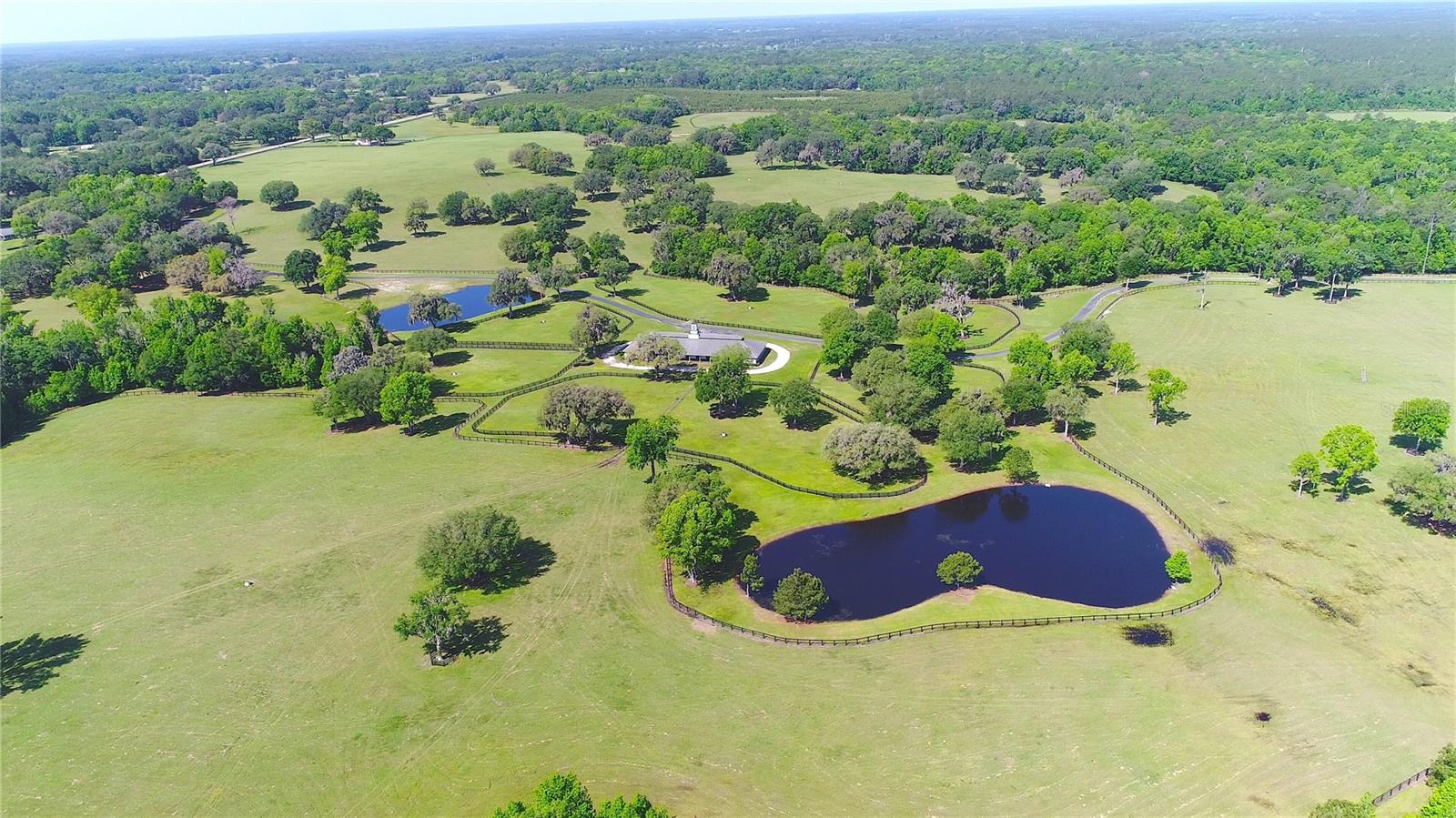 13375 W Hwy 318 WILLISTON, FL 32696