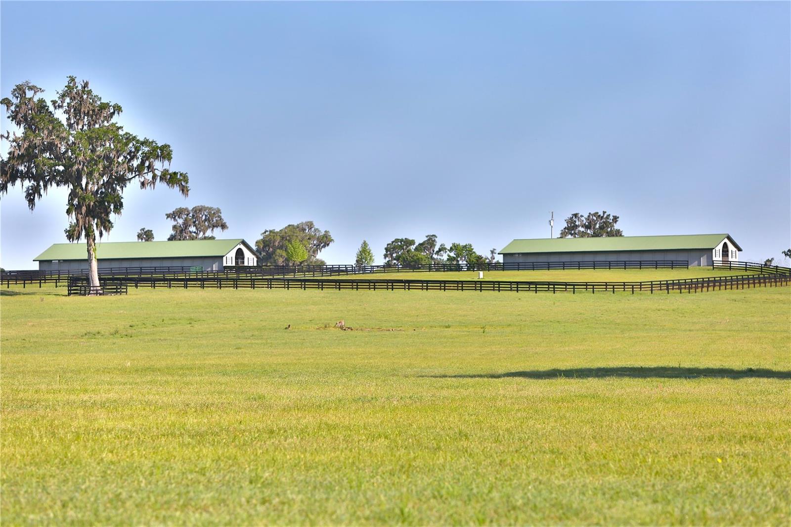 13375 W Hwy 318 WILLISTON, FL 32696