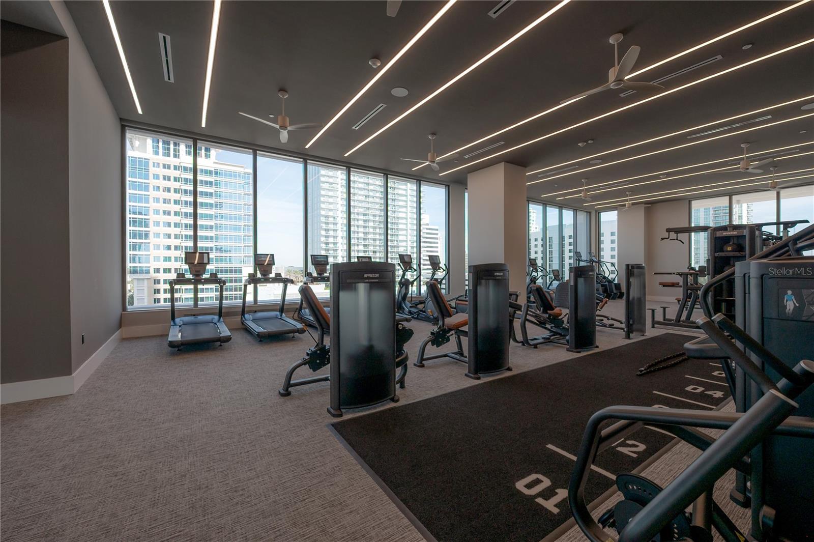 275 1ST Ave #1504 ST PETERSBURG, FL 33701