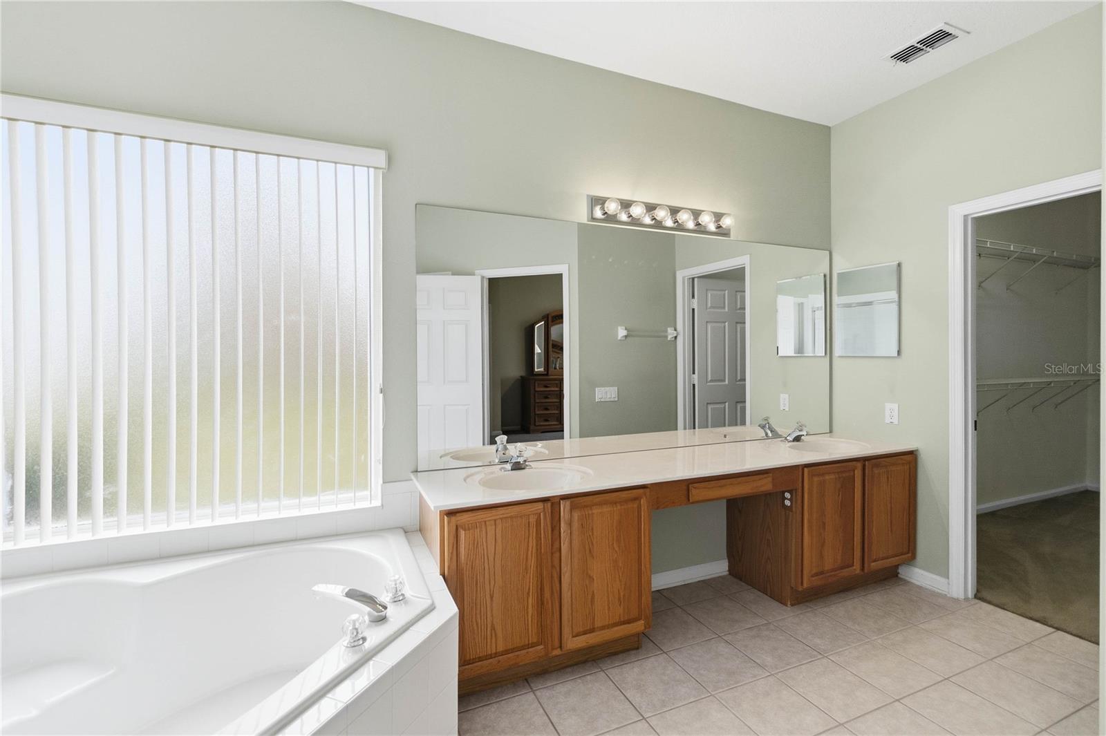 3196 HANGING MOSS Cir KISSIMMEE, FL 34741