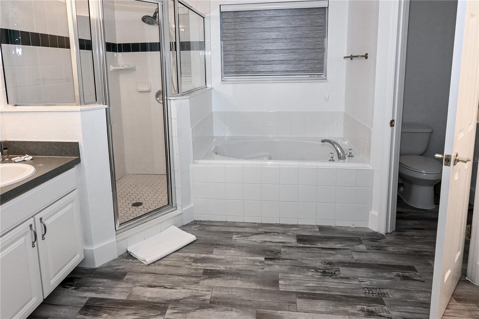 4733 CUMBRIAM Lks Dr KISSIMMEE, FL 34746