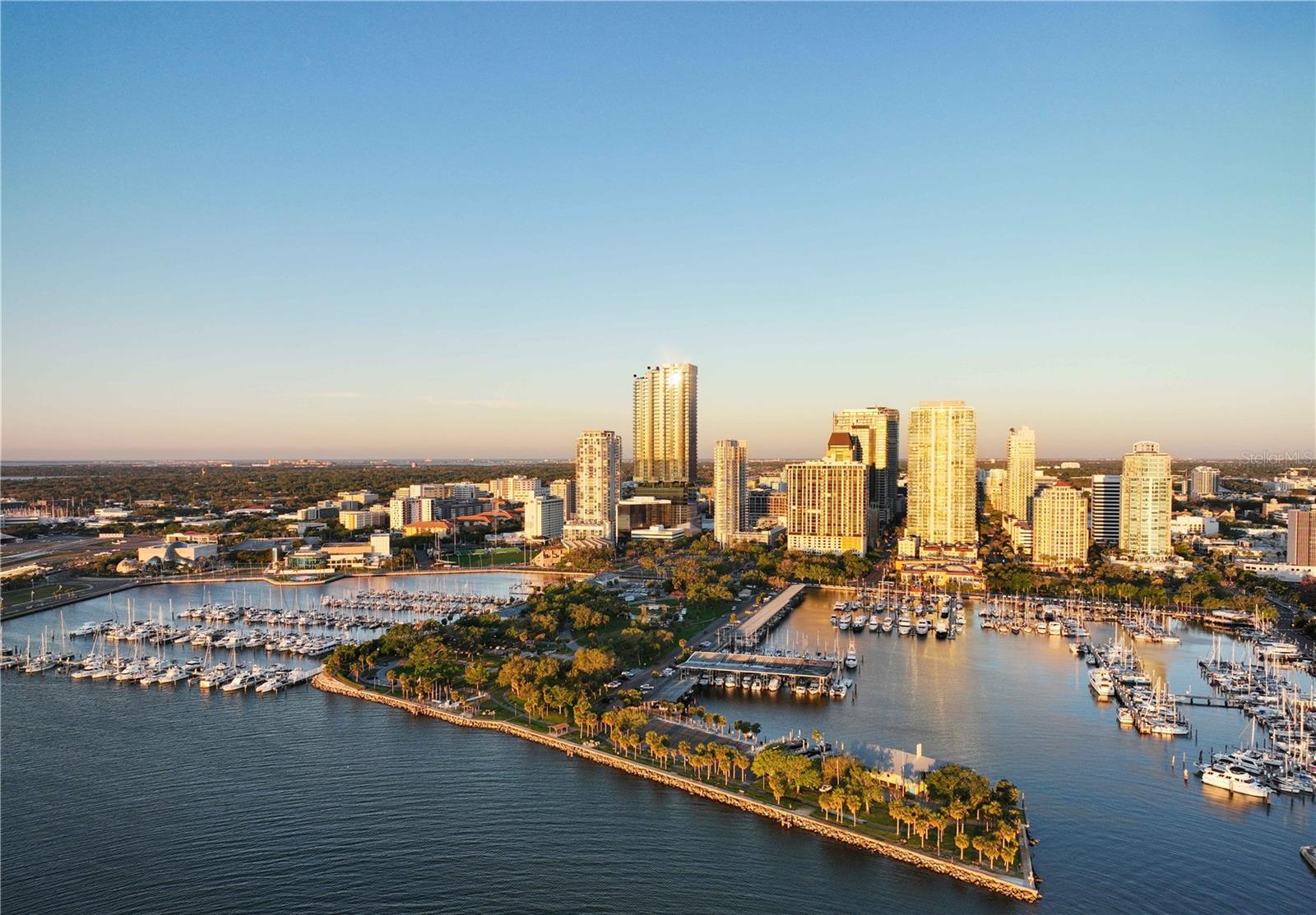 150 2ND Ave #3103 ST PETERSBURG, FL 33701