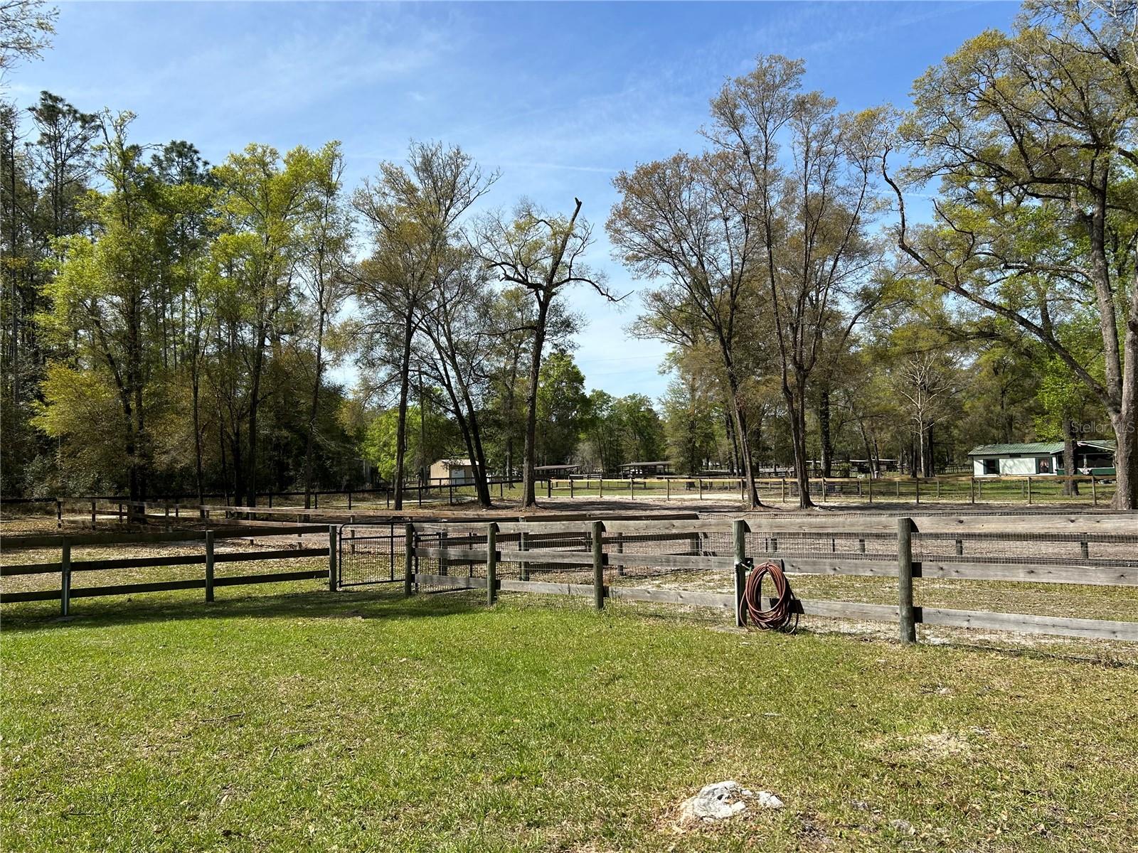 9290 NW 125TH Ave OCALA, FL 34482